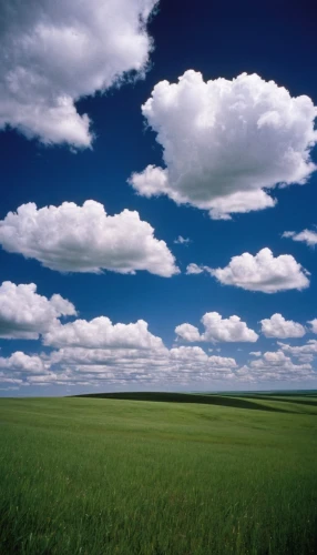 windows wallpaper,blue sky and white clouds,blue sky and clouds,landscape background,blue sky clouds,cloud image,plains,single cloud,cloudscape,grasslands,nature background,meadow landscape,cumulus clouds,clouds - sky,prairies,cloudlike,background view nature,white clouds,free background,sky clouds,Photography,Documentary Photography,Documentary Photography 12