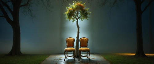 lightpainting,double bass,conceptual photography,tree with swing,light painting,chair and umbrella,harp with flowers,throne,upright bass,hosseinian,photo manipulation,hosseinpour,photomanipulation,empty swing,hossein,garden swing,cello,tree torch,camping chair,surrealism