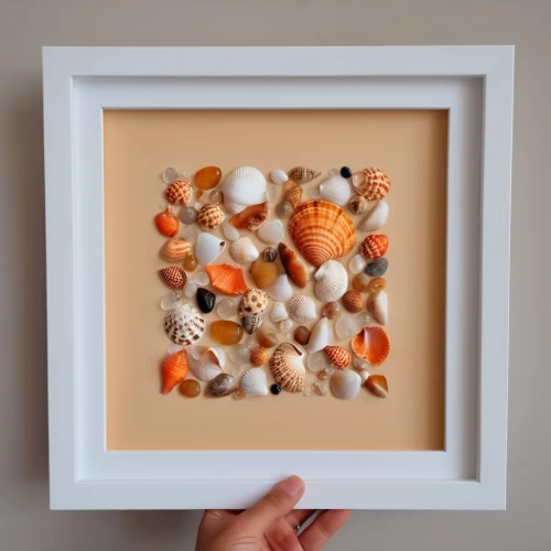 watercolor seashells,fall picture frame,glitter fall frame,framed paper,sugar bag frame,watercolor frame,christmas gingerbread frame,marshmallow art,candy corn pattern,garlic bulbs,round autumn frame,halloween frame,sushi art,decorative frame,watercolour frame,botanical frame,christmas frame,clover frame,wedding frame,cloudberry,Photography,General,Realistic