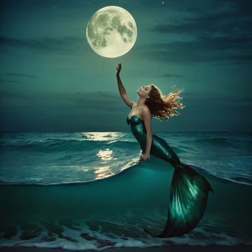 moondance,moonlit night,blue moon,moonbeams,moonlit,moonlight,moonlighted,moonstruck,moonbeam,full moon,blue moon rose,moonshadow,lune,moonchild,dreamtime,amphitrite,moon night,moonshining,moonrise,the night of kupala,Photography,Artistic Photography,Artistic Photography 14