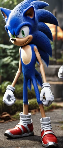 sonic,sonicnet,sega,sonicblue,knux,knuckles,sonics,hedgehog,hedgecock,orsanic,nazo,fleetway,eggman,tenrec,png image,echidna,pensonic,tenkrat,garrison,robotnik,Photography,General,Realistic