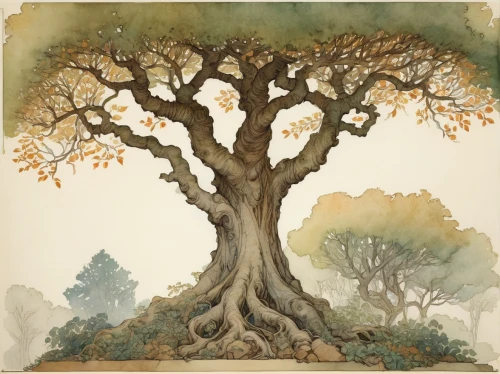 watercolor tree,oak tree,bodhi tree,quercus,rosewood tree,oaktree,oak,tree of life,the japanese tree,the branches of the tree,acorn oak,arbre,baobabs,flourishing tree,diterlizzi,old tree,celtic tree,baobab,elm tree,arboreal,Illustration,Retro,Retro 17