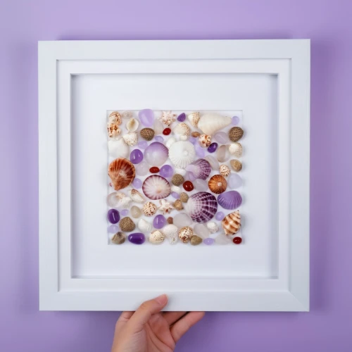 watercolor seashells,watercolor frame,floral silhouette frame,watercolour frame,glitter fall frame,watercolor frames,marshmallow art,jellyfish collage,sugar bag frame,cauliflower jellyfish,marble painting,framed paper,semi precious stones,seashells,purple frame,botanical frame,sea shells,watercolor donuts,hamster frames,dried petals,Photography,General,Realistic