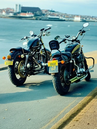 harleys,harley-davidson wlc,scramblers,rousers,motorcycle tours,cruisers,harley davidson,punishers,bikers,outriders,triumph street cup,coastguards,runabouts,motorcyles,motorcycles,electric motorcycle,ghostriders,nightriders,motorcycle tour,luderitz,Art,Artistic Painting,Artistic Painting 07