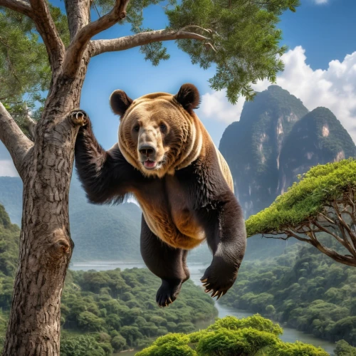 disneynature,hanging panda,brown bear,bearlike,european brown bear,bear guardian,giant panda,grizzlies,great bear,cute bear,bear market,ursine,grizzly bear,bear kamchatka,nordic bear,bearman,climbing forest,slothbear,bear,scandia bear,Photography,General,Realistic