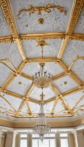 ceiling construction,stucco ceiling,hall roof,gold stucco frame,ceiling,ceilings,ballroom,the ceiling,vaulted ceiling,coffered,plasterwork,plafond,ceiling light,ceiling lighting,cochere,chandeliers,ornate room,dome roof,ceilinged,ceiling lamp,Conceptual Art,Graffiti Art,Graffiti Art 08