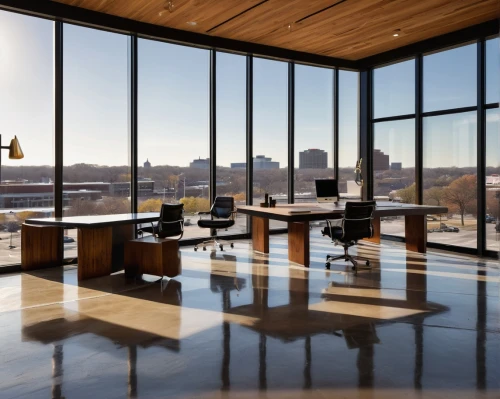snohetta,modern office,penthouses,daylighting,umkc,conference room,offices,board room,minotti,boardroom,glass wall,minneapolis,gensler,juilliard,chipperfield,bridgepoint,structural glass,study room,contemporary decor,jadwin,Illustration,American Style,American Style 02