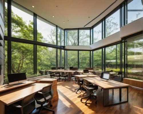 study room,snohetta,lecture room,reading room,daylighting,lecture hall,modern office,structural glass,meadowood,hallward,conference room,breakfast room,gensler,schoolrooms,collaboratory,board room,kinsolving,school design,bohlin,wooden windows,Illustration,American Style,American Style 06