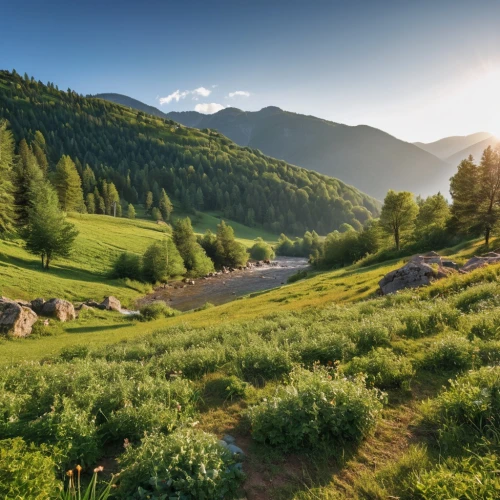 carpathians,meadow landscape,alpine landscape,south tyrol,alpine meadow,mountain meadow,alpine pastures,green landscape,alpine meadows,landscape background,east tyrol,bucovina romania,alpine region,mountain pasture,valdagno,austria,salt meadow landscape,nature landscape,background view nature,mountain landscape,Photography,General,Realistic