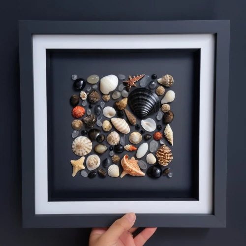 framed paper,botanical frame,botanical square frame,gravel stones,watercolor frame,glitter fall frame,background with stones,frame mockup,fall picture frame,floral silhouette frame,decorative frame,watercolor seashells,balanced pebbles,holding a frame,frame illustration,round autumn frame,photo frame,christmas frame,sea shells,photo frames,Photography,General,Realistic