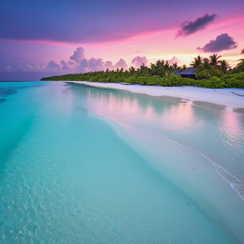 maldive islands,maldive,cook islands,caribbean beach,caribbean sea,maldives,caribbean,lakshadweep,bahamas,pink beach,the caribbean,beautiful beaches,french polynesia,tropical beach,maldives mvr,maldivian,dream beach,fiji,bahama,beautiful beach,Photography,General,Realistic