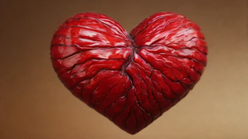human heart,heart icon,stitched heart,heart care,heart background,tree heart,wood heart,heart,wooden heart,a heart,crying heart,heart shrub,the heart of,zippered heart,cardiac,heart of palm,hearts 3,circulatory,heart-shaped,heart health,Photography,General,Natural