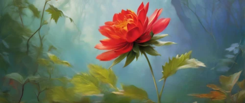 flame lily,flower painting,western red lily,flame flower,tulip background,pond flower,orange lily,flower background,digital painting,red flower,fire flower,wild tulip,fire lily,lilies,tulip,tulip blossom,flower of passion,flowers png,elven flower,splendor of flowers