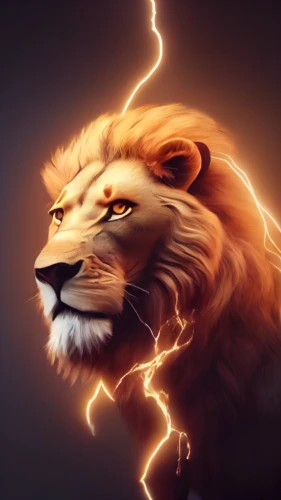 lion,panthera leo,roaring,lion - feline,lion head,zodiac sign leo,african lion,lion white,to roar,lions,skeezy lion,two lion,lion father,lion number,forest king lion,male lion,roar,thunderbolt,power icon,white lion