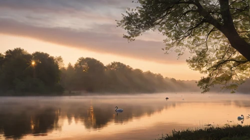 morning mist,autumn morning,czorsztyn lake,auwaldsee,autumn fog,evening lake,spring morning,foggy landscape,early morning,morning fog,poland,northern germany,first light,river landscape,daybreak,waldsee,slovenia,the danube delta,danube delta,ukraine,Photography,General,Natural