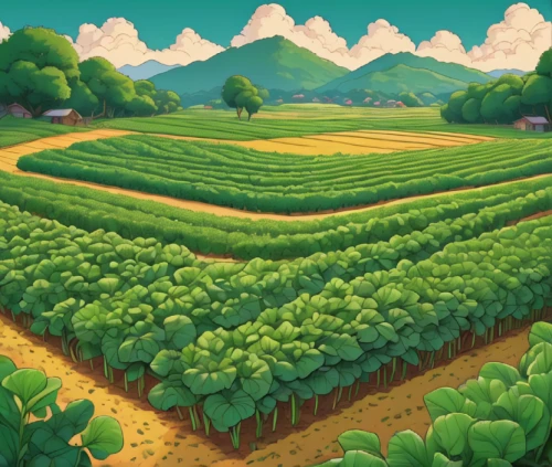 vegetable field,fruit fields,vegetables landscape,potato field,farm landscape,green soybeans,agricultural,tea field,cultivated field,vineyards,green fields,crops,grape plantation,agriculture,field of cereals,mushroom landscape,green landscape,rural landscape,yamada's rice fields,vineyard,Illustration,Japanese style,Japanese Style 15