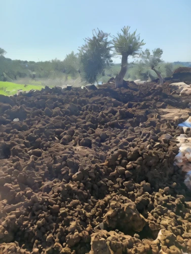 soil erosion,sweet potato farming,clay soil,pile of dirt,cow dung,stock farming,judaean desert,rafeiro do alentejo,alentejo,overburden,argan trees,laterite,salt farming,compost,mound of dirt,potato field,the dry season,salt extraction,saltbush,sugar beet