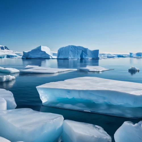 ice floes,arctic antarctica,ice landscape,ice floe,sea ice,antarctic,arctic ocean,antartica,antarctica,icebergs,polar ice cap,water glace,arctic,south pole,artificial ice,antarctic flora,iceberg,ice wall,ice planet,glacial melt