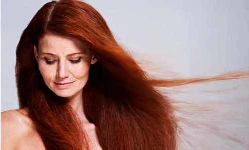 management of hair loss,british semi-longhair,oriental longhair,asian semi-longhair,artificial hair integrations,hair shear,british longhair,hair iron,hair coloring,redhair,hair loss,follicle,red-brown,red-haired,feathered hair,smooth hair,the long-hair cutter,hairstyler,long hair,hair