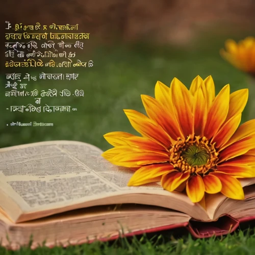bibel,prayer book,hymn book,bible pics,palm sunday scripture,the garden marigold,song book,bookmark with flowers,psalm sunday,new testament,to read,english marigold,scripture,the cultivation of,poems,prayer flag,marigold flower,devotions,naturopathy,proverb,Photography,General,Natural