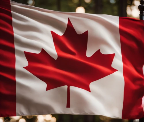 canadian flag,canada,canada cad,canadas,maple leaf red,las canadas,buy weed canada,canadian,maple leaf,canada air,canadian dollar,canadian fir,west canada,hd flag,canadian whisky,red maple leaf,yellow maple leaf,country flag,quebec,british columbia,Photography,General,Cinematic