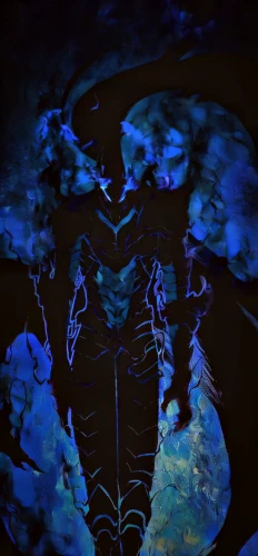 bioluminescence,blue cave,underwater background,abyss,astral traveler,dark world,blue caves,death god,dead vlei,halloween background,the blue caves,grimm reaper,deep sea,seabed,blue-winged wasteland insect,dark art,blue enchantress,negative,hanged man,undersea