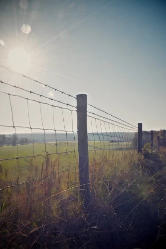wire fence,wire fencing,pasture fence,fence posts,unfenced,electric fence,lens flare,home fencing,chain-link fencing,barbed wire,fences,fence,tilt shift,romney marsh,ribbon barbed wire,barb wire,prison fence,depth of field,wire mesh fence,bathgate hills