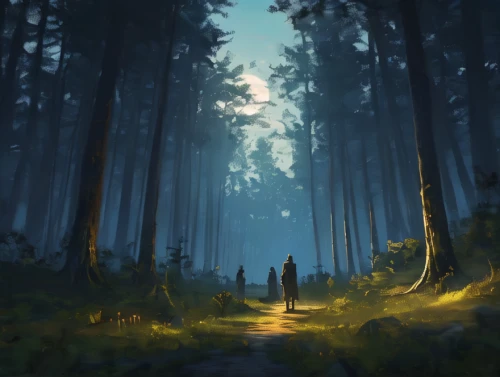 forest path,forest walk,forest,the forest,forest of dreams,forest glade,forest background,haunted forest,foggy forest,forest landscape,forests,in the forest,holy forest,forest road,forest dark,the woods,the forests,elven forest,green forest,pine forest