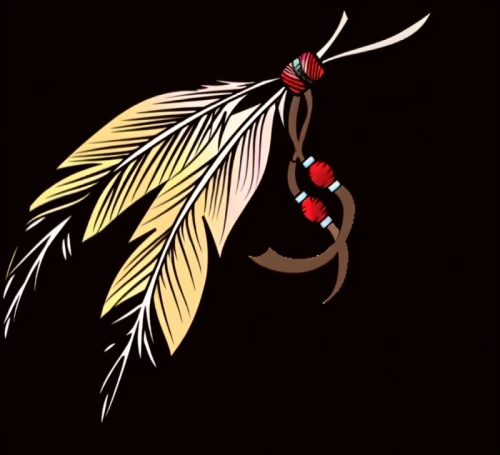 feather jewelry,native,feather headdress,first nation,hawk feather,black-red gold,black feather,indian headdress,an ornamental bird,indigenous,nz badge,headdress,female symbol,aboriginal,ornamental bird,native american,phoenix rooster,gold finch,cherokee,red chief