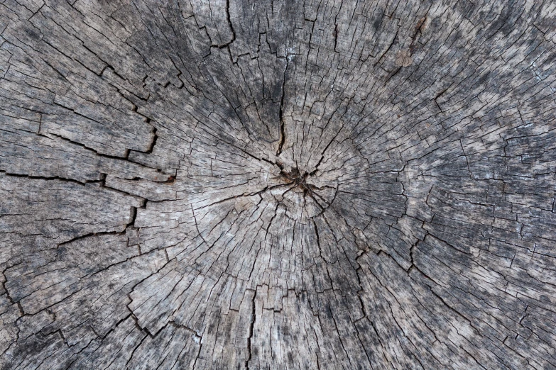 a close up image of the wood grain on an old tree