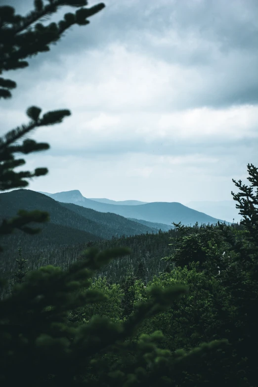 a tall building in the middle of a forest