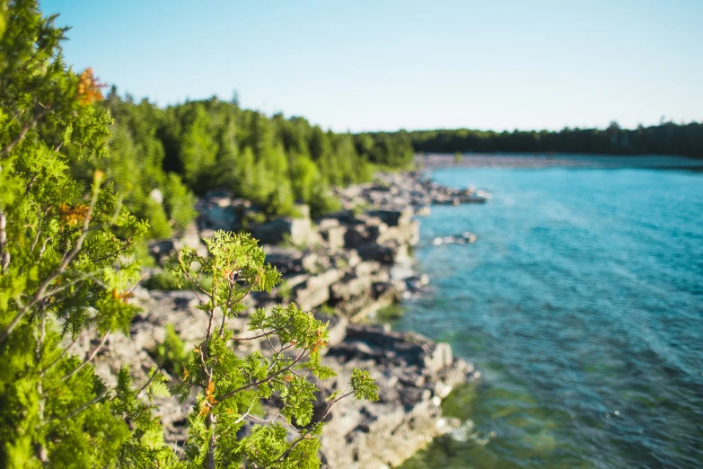 water with trees and rocks next to it