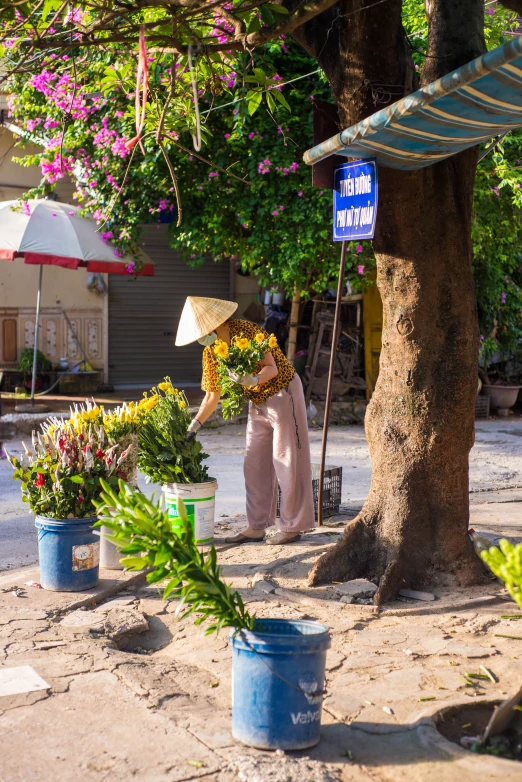 potted plants are set out next to a sign