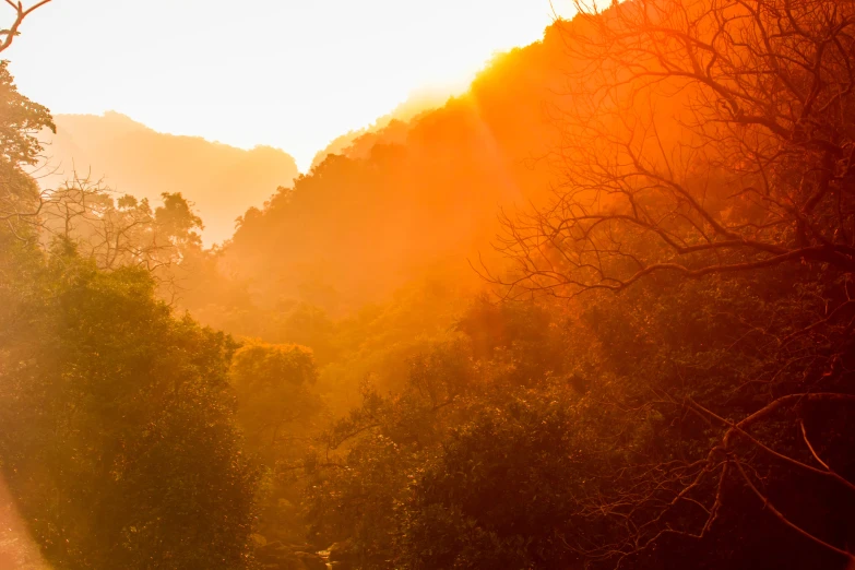 sun sets over the green mountains as trees and bushes are silhouetted against the sunset