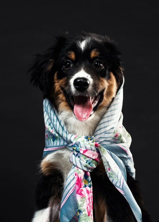 a happy dog wearing a multicolored bandana