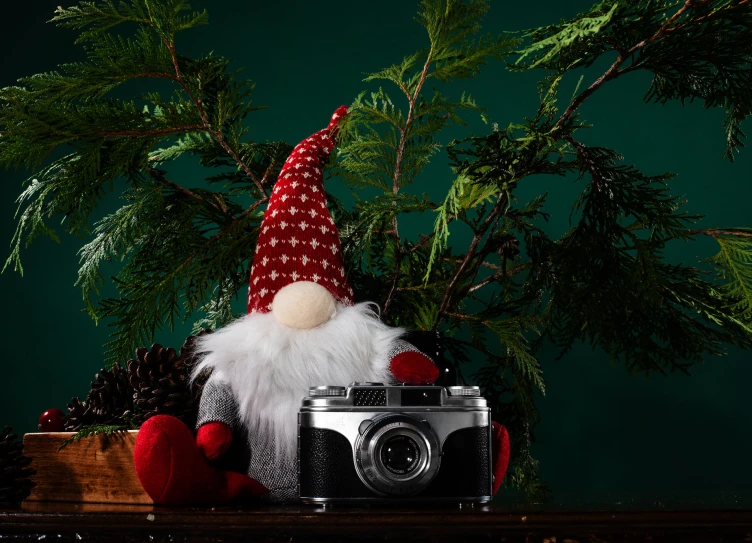 a gnome sitting in a nest of christmas decorations with an antique camera