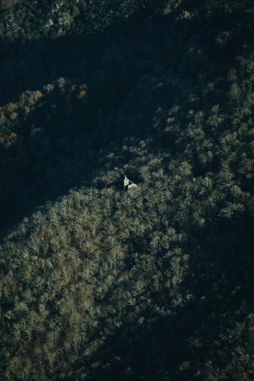 an aerial view of a white airplane in an area with trees