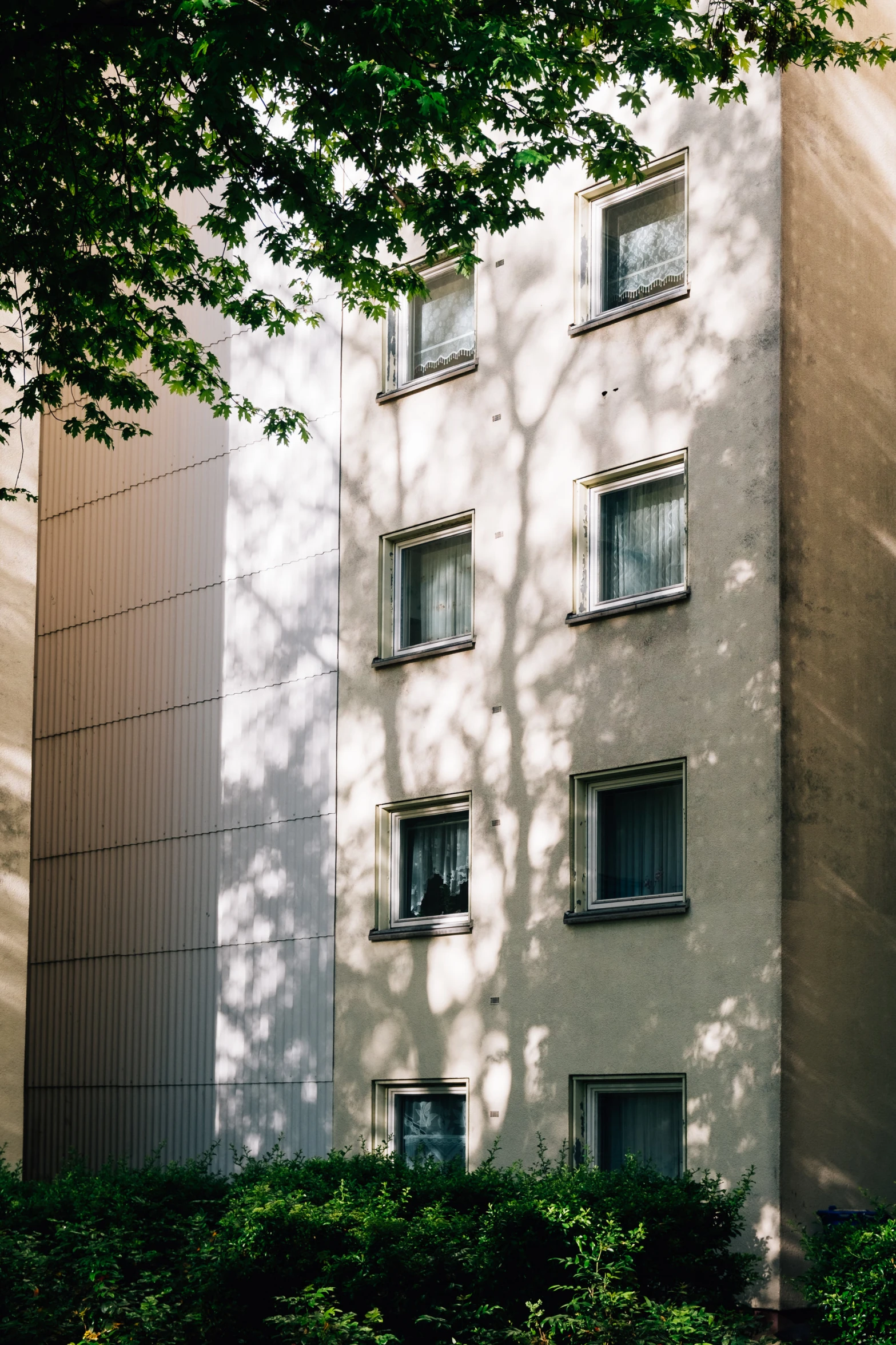 a building in a tree lined neighborhood has a lot of windows