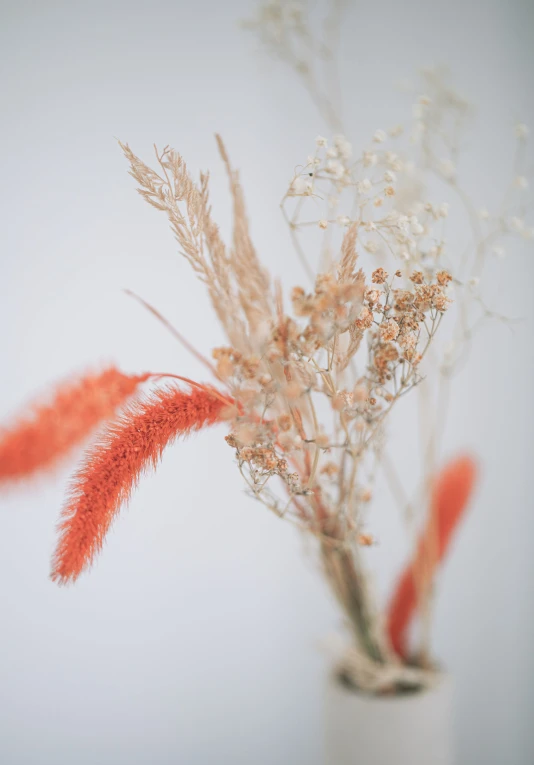 a bunch of flowers that are in a vase