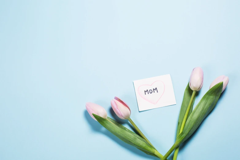 two pink tulips and a note are sitting on top of the table