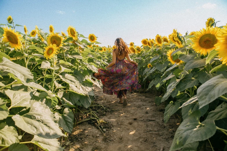 a young woman wearing a colorful dress walks through a sunflower field