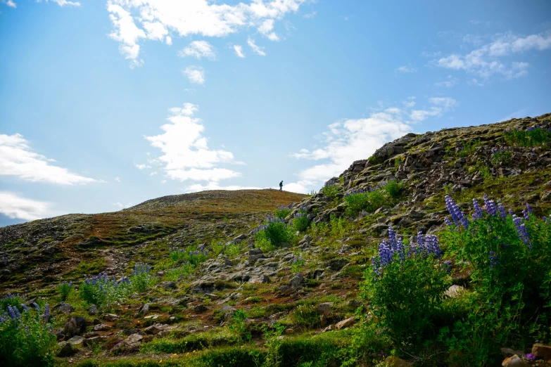 there is some grass on the side of this hill