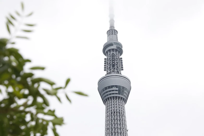 the oriental style building has a tall tower