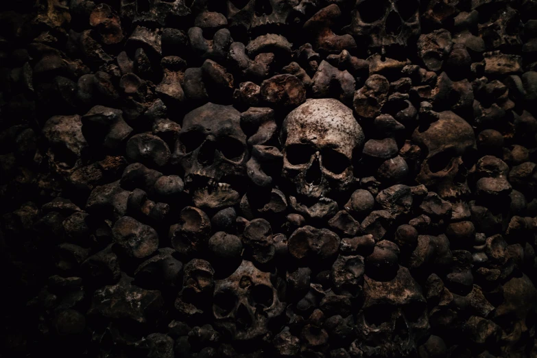 there is a pile of skulls next to the ground