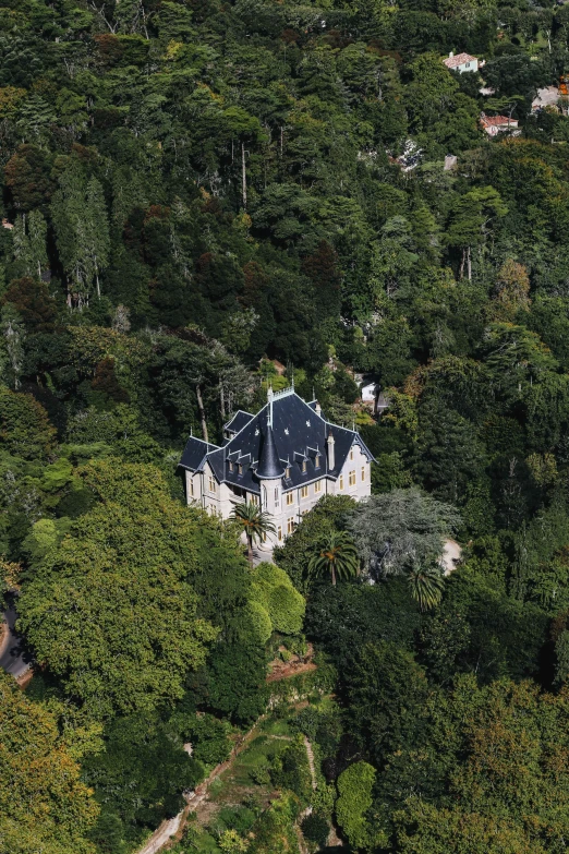 a house in the middle of trees with lots of greenery