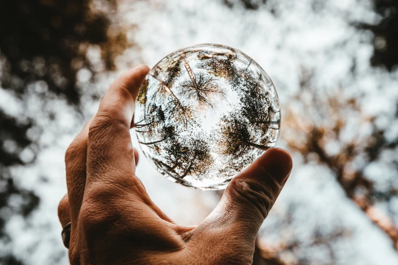 a person holding up a clear ball with trees in the background