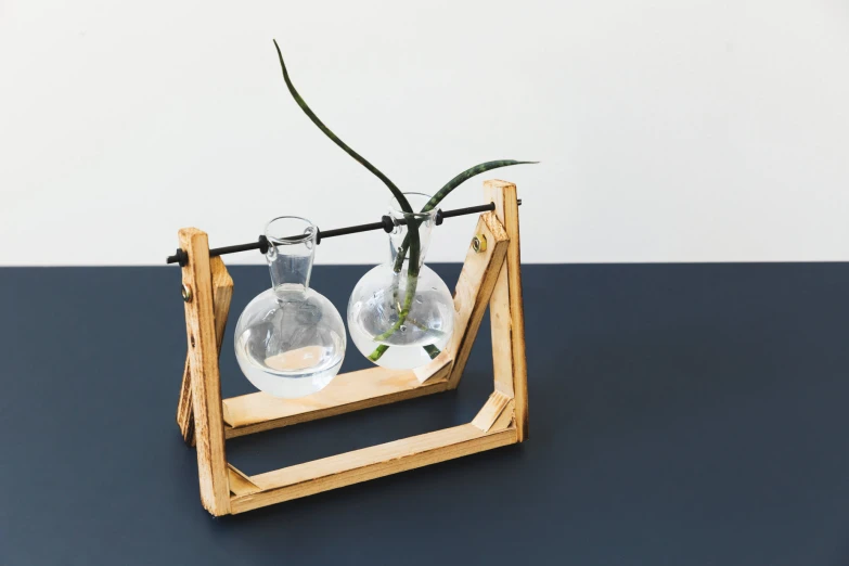 a shelf holding two clear bottles with a plant in it