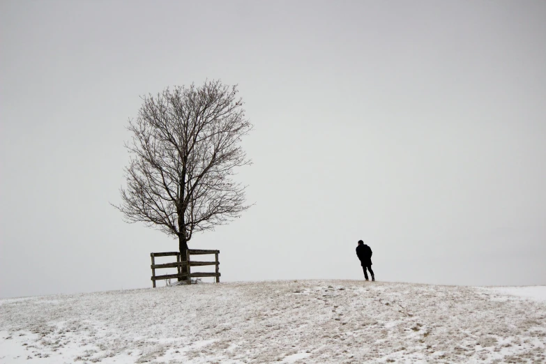 a person stands in the snow next to a tree
