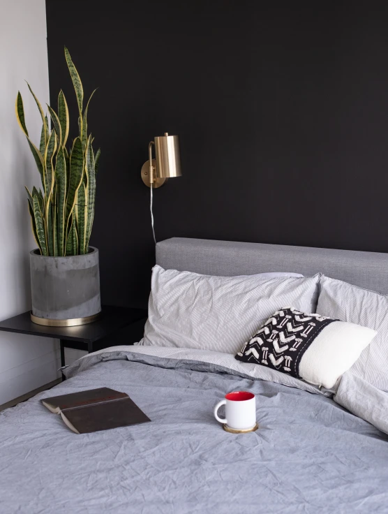 a black and white bed is shown with a plant