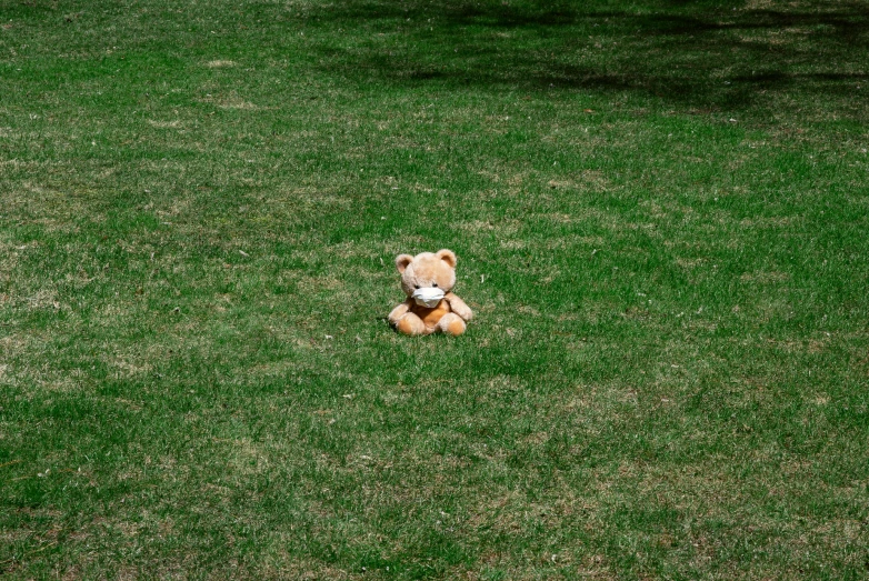 a stuffed bear sitting in the grass with a ball in his mouth